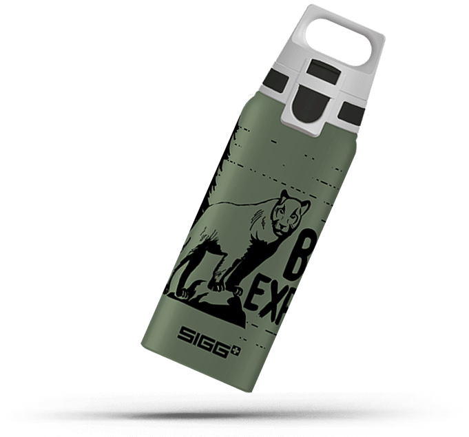 SIGG: aluminiowa butelka Kids Water Bottle One Brave 0,6 l - Noski Noski