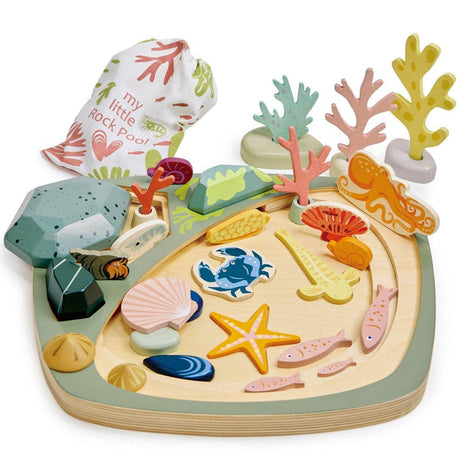 Drewniana zabawka montessori Tender Leaf Toys My Little Rock Pool, kreatywny zestaw dla dzieci odkrywający świat oceanu.