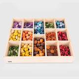 TickiT: drewniana taca odkrywców Wooden Sorting Tray 14-Way - Noski Noski