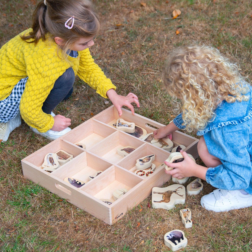 TickiT: drewniana taca odkrywców Wooden Sorting Tray 7-Way - Noski Noski