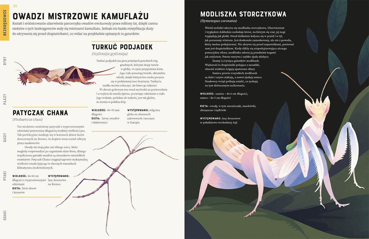 Wydawnictwo Kropka: Zwierzęta od A do Z - Noski Noski