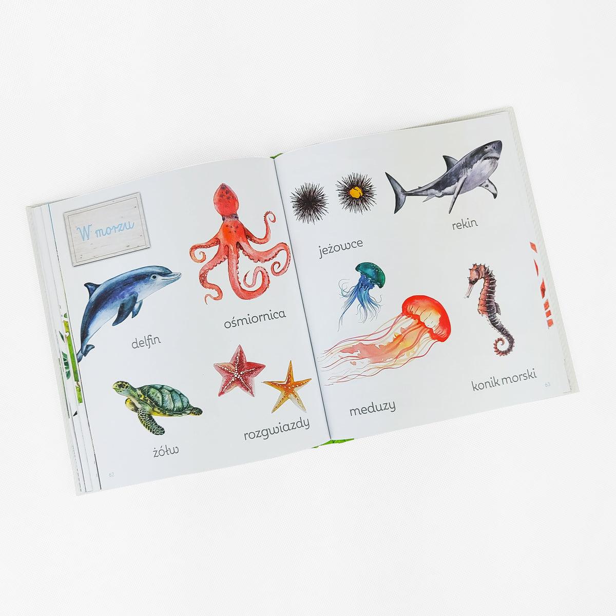 Wydawnictwo Olesiejuk: Montessori. Obrazkowa księga przyrody - Noski Noski