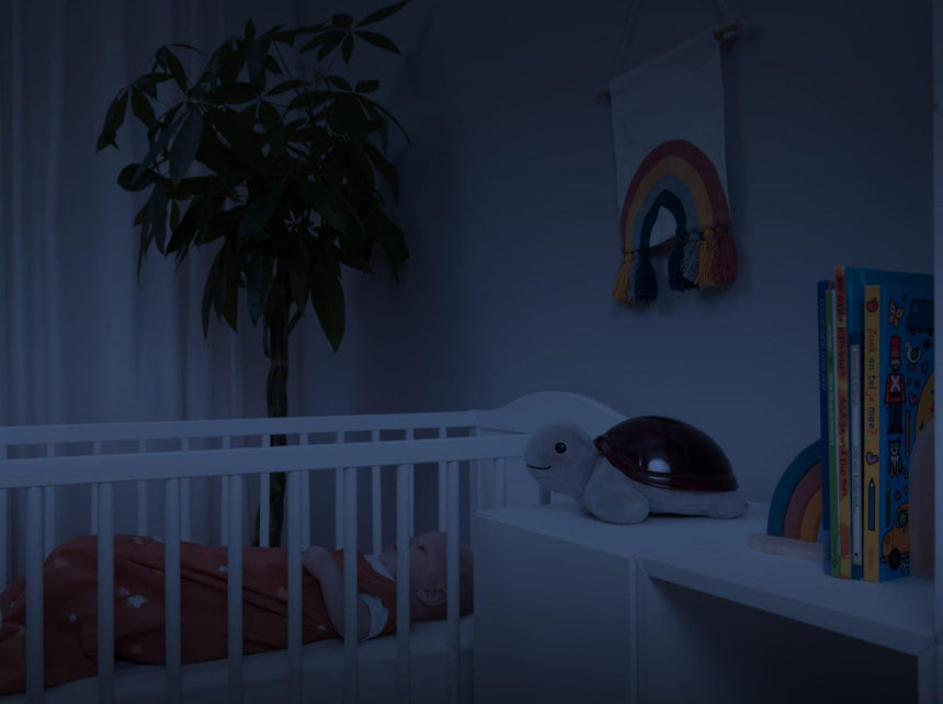 Zazu: lampka projektor zachodu słońca Żółw Tim - Noski Noski